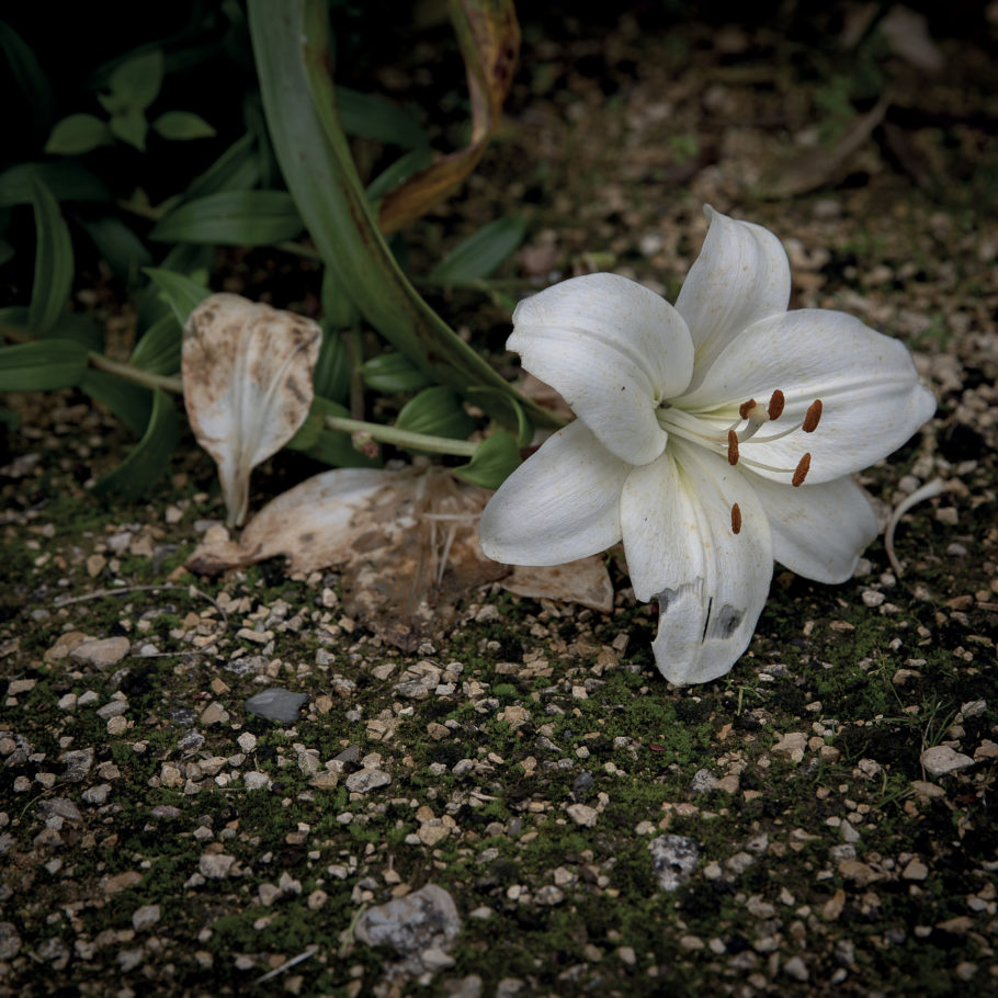 image11