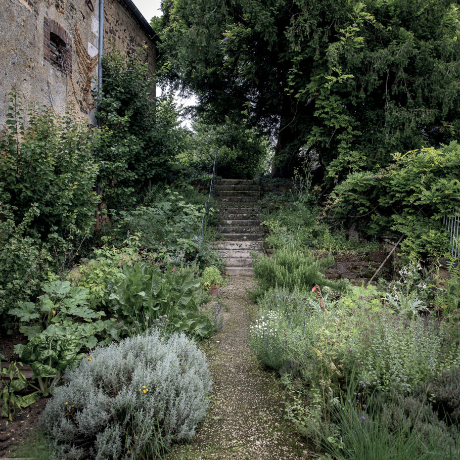 image8